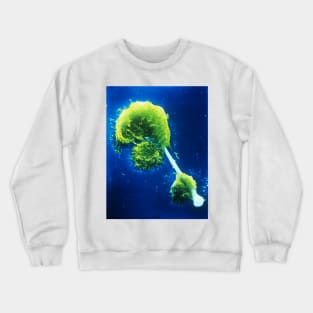 SEM of macrophages impaled on an asbestos needle (M108/0109) Crewneck Sweatshirt